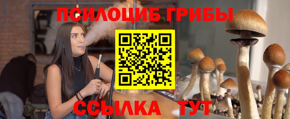 Королёв  Псилоцибиновые грибы Psilocybine cubensis  Псилоцибиновые грибы мицелий  Вход с VPN 